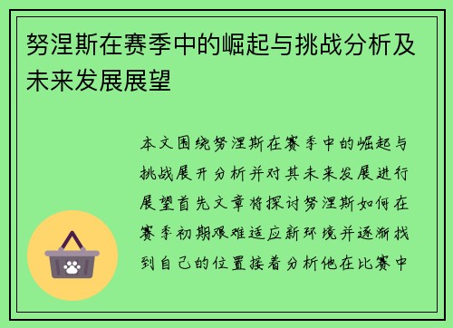 努涅斯在赛季中的崛起与挑战分析及未来发展展望